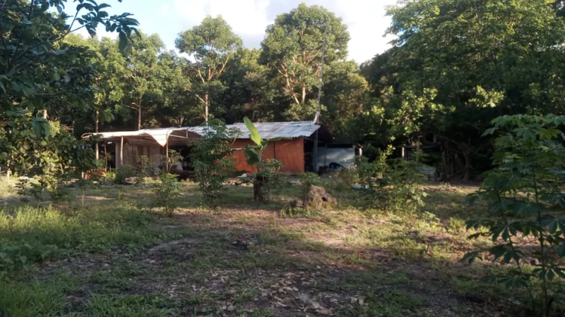 Prefeitura de São Miguel do Araguaia suspende aulas após ataques a escolas