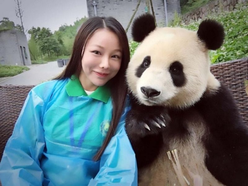 Tradição e inovação no primeiro concurso do Panda